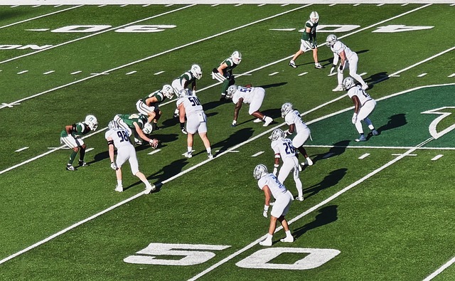 合淘汰了夺 合淘汰了夺