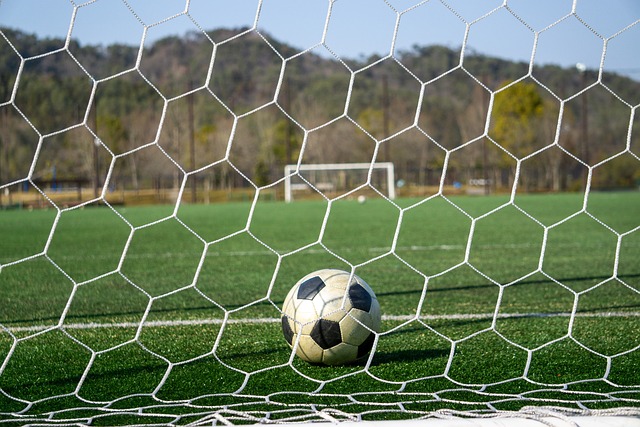 西部前列的 西部前列的