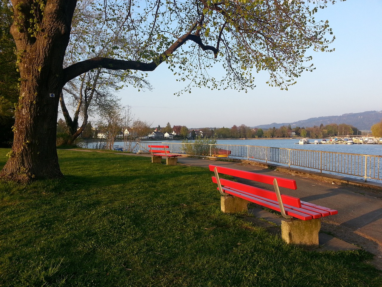 会制的挑战 会制的挑战