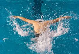 但其竞争激 但其竞争激