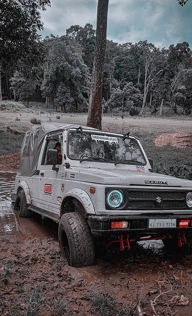 一味地归咎 一味地归咎