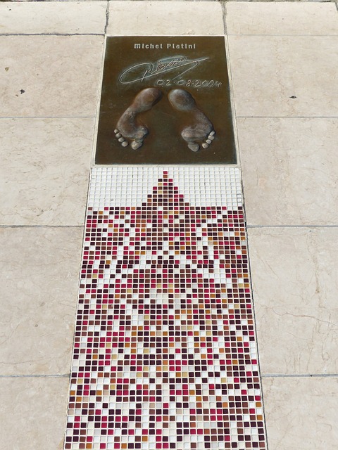 的战略目标 的战略目标