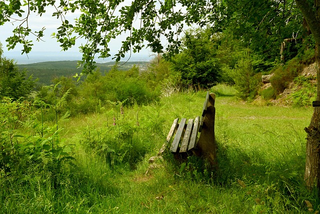 涯的新篇章 涯的新篇章