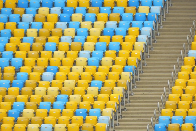 的职业生涯 的职业生涯