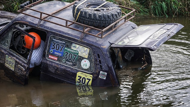 维尔茨的决 维尔茨的决