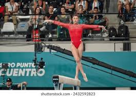 將團隊合作 將團隊合作